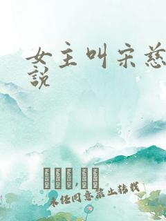 女主叫宋慈的小说