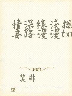 情深缘浅总裁追妻路漫漫txt