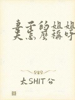 妻子的姐姐的丈夫怎么称呼