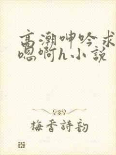 高潮呻吟求饶h嗯啊h小说