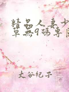 精品人妻少妇嫩草无9码专区