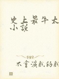 史上最牛太子爷小说