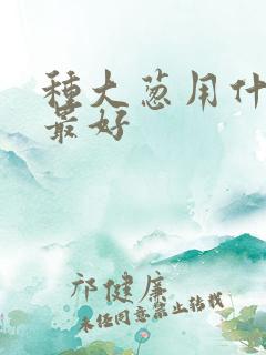 种大葱用什么肥最好