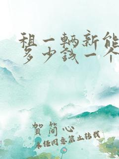 租一辆新能源车多少钱一个月