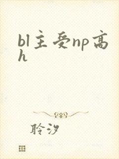 bl主受np高h