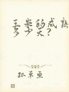 玉米的成熟期是多少天?