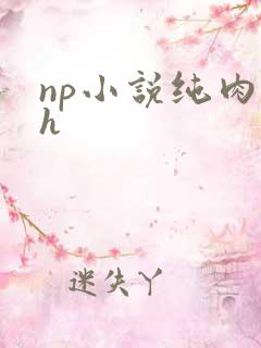np小说纯肉高h