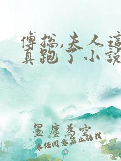 傅总,夫人这次真跑了小说完整