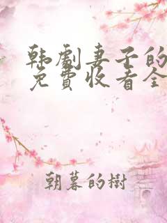 韩剧妻子的秘密免费收看全集