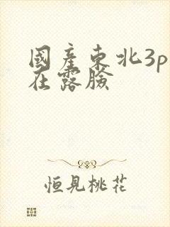 国产东北3p贵在露脸