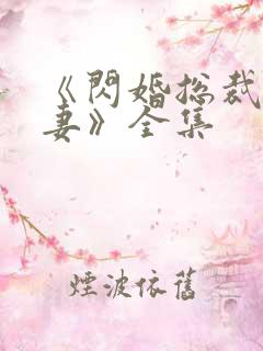 《闪婚总裁契约妻》全集