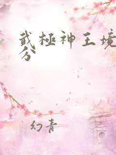 武极神王境界划分