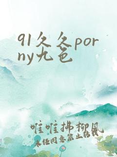91久久porny九色