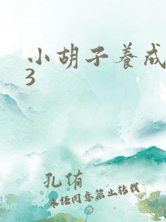 小胡子养成计划3