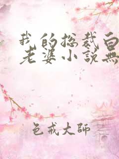 我的总裁白富美老婆小说无广告