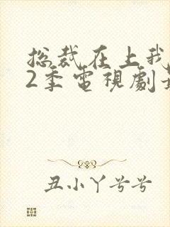总裁在上我在下2季电视剧最新