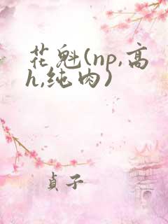 花魁(np,高h,纯肉)