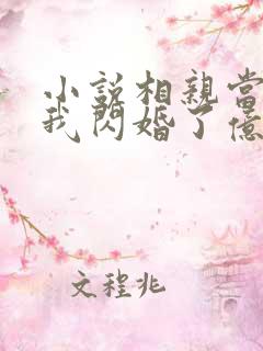 小说相亲当天,我闪婚了亿万富豪下载
