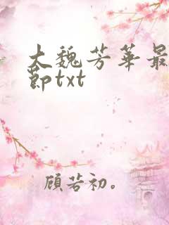 大魏芳华最新章节txt