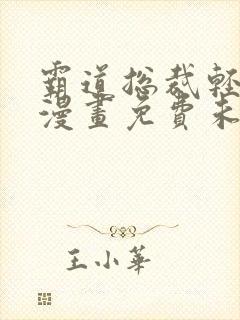 霸道总裁轻点爱漫画免费未删减版