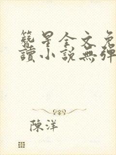 簪星全文免费阅读小说无弹窗