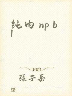 纯肉 np bl