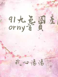 91九色国产porny首页