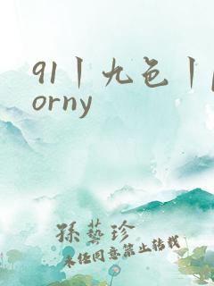 91丨九色丨porny