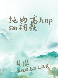 纯肉高hnp sm调教