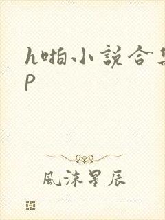 h啪小说合集np