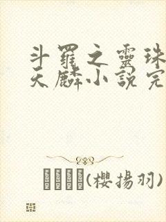 斗罗之灵珠神剑天麟小说完整版下载txt