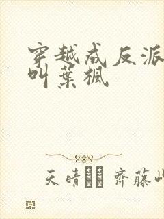 穿越成反派男主叫叶枫