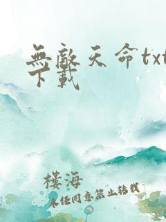 无敌天命txt下载