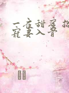 一夜甜蜜 总裁宠妻入骨