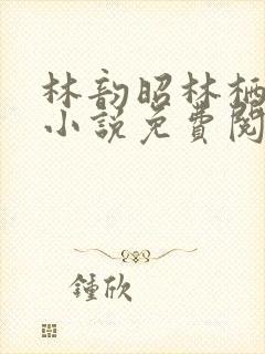 林韵昭林栖月的小说免费阅读