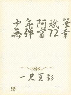 少年阿斌笔趣阁无弹窗72章