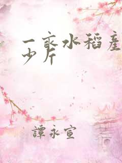一亩水稻产量多少斤