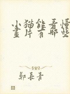小猫能看懂的动画片有哪些