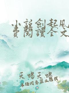 小说剑起风云免费阅读全文