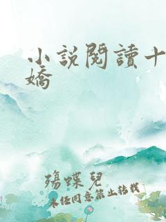 小说阅读十国千娇