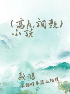 (高h,调教)小说