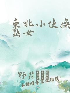 东北小伙操,老熟女