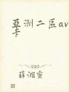 亚洲二区av不卡