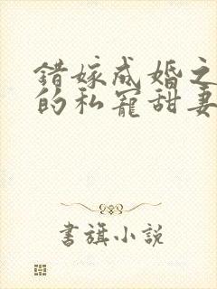 错嫁成婚之总裁的私宠甜妻在线阅读