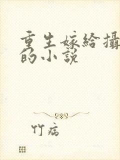 重生嫁给摄政王的小说 重生嫁给摄政王的小说