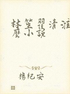 林笙翟清淮是什么小说
