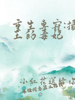 重生专宠:摄政王的毒妃