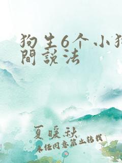 狗生6个小狗民间说法