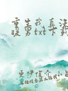 重生我真没想当暖男txt下载