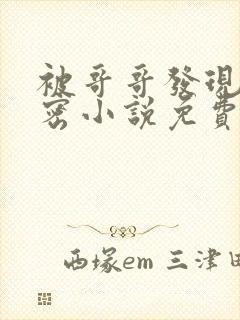 被哥哥发现的秘密小说免费阅读全文
